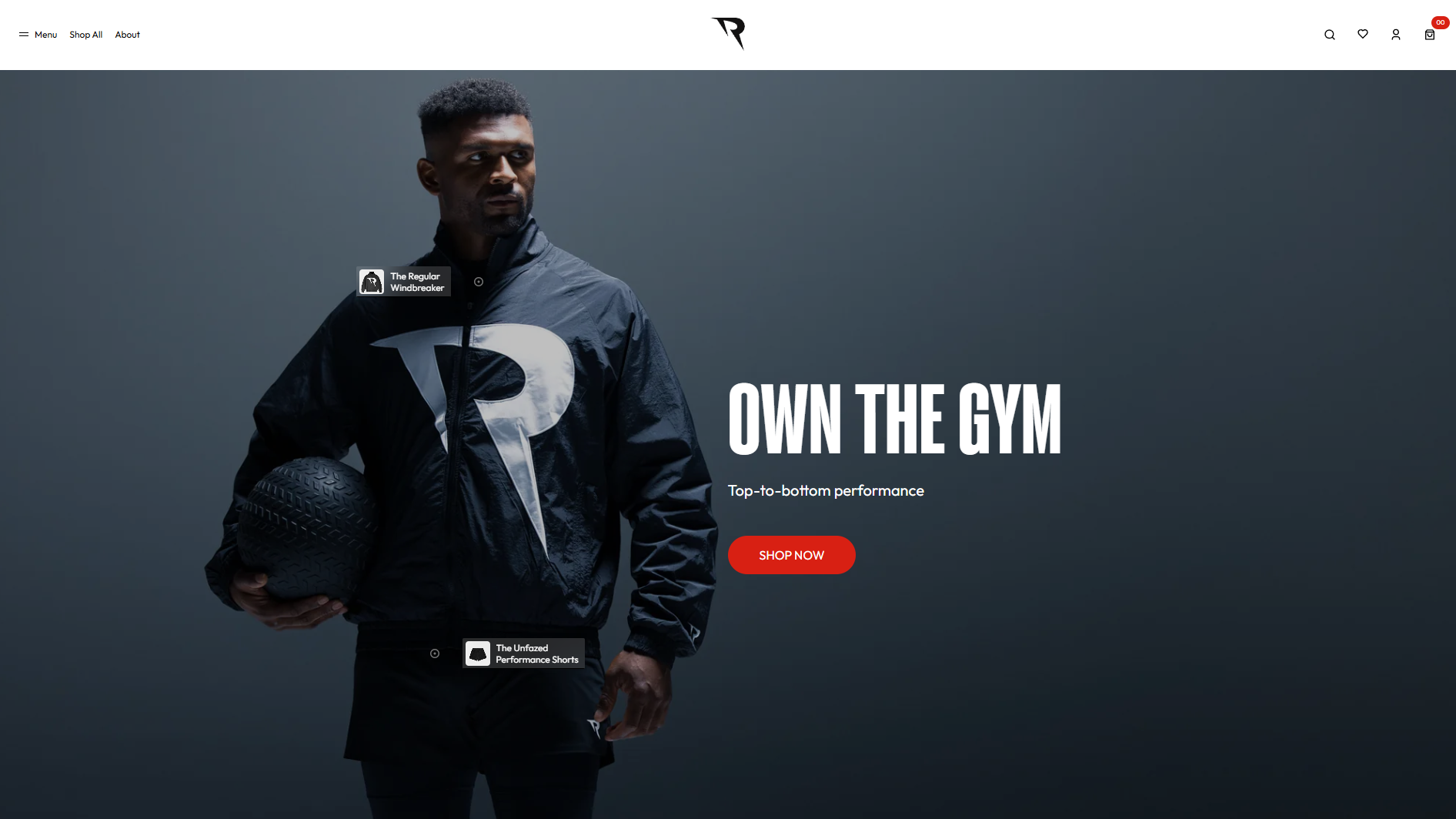 Website preview 2