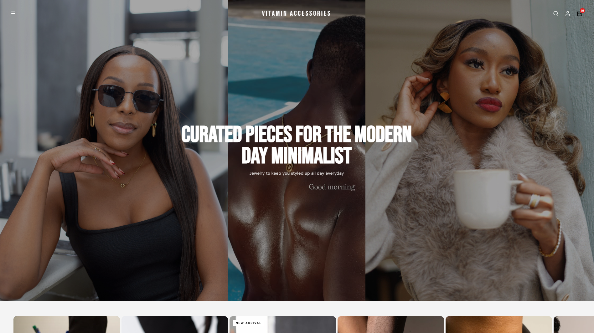 Website preview 3