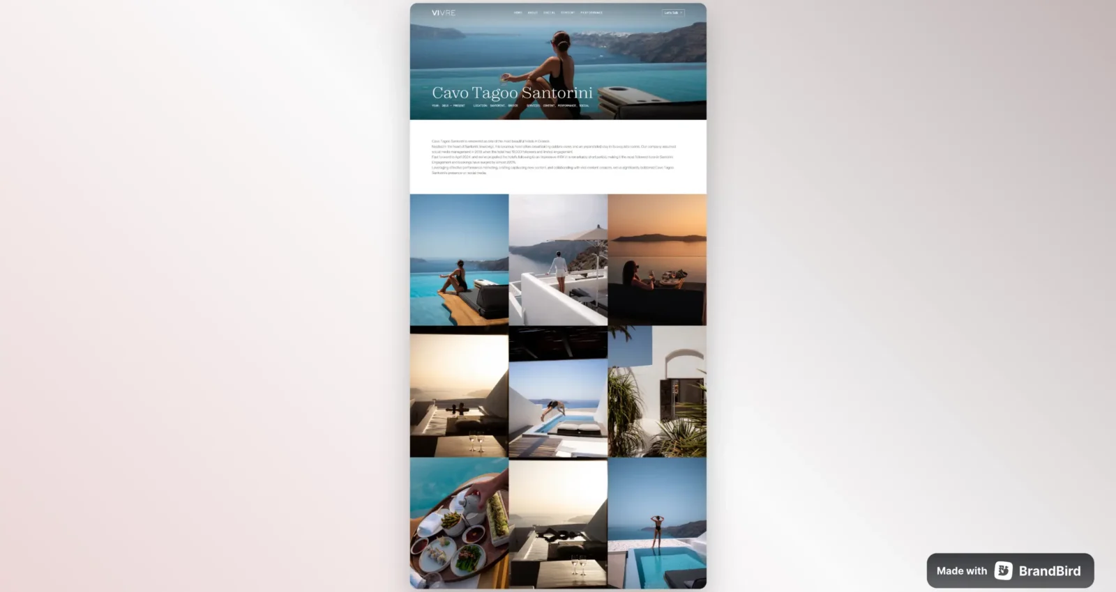 Vivre Agency project outcome results showcase